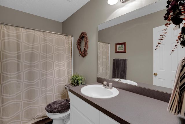 12 Persimmon Wood Court, Irmo, SC 29063