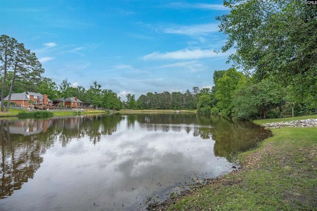 12 Persimmon Wood Court, Irmo, SC 29063