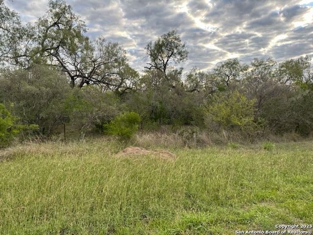 000 CHRISTINE RD, Jourdanton, TX 78026