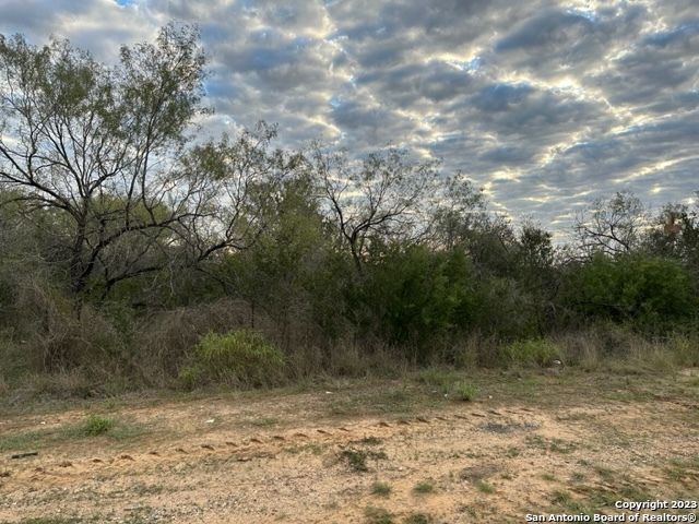 000 CHRISTINE RD, Jourdanton, TX 78026