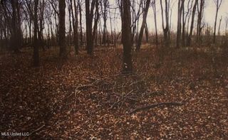 Lot 70 (Gravel) Blue Gill Road, Vicksburg, MS 39183