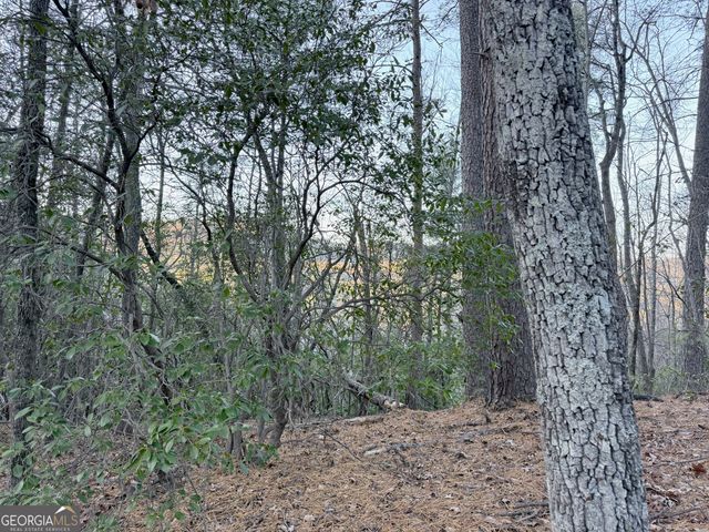 0 Timber Bluff Dr, Clayton, GA 30525