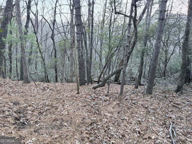 0 Timber Bluff Dr, Clayton, GA 30525