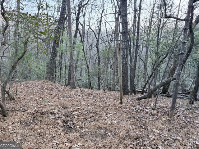 0 Timber Bluff Dr, Clayton, GA 30525