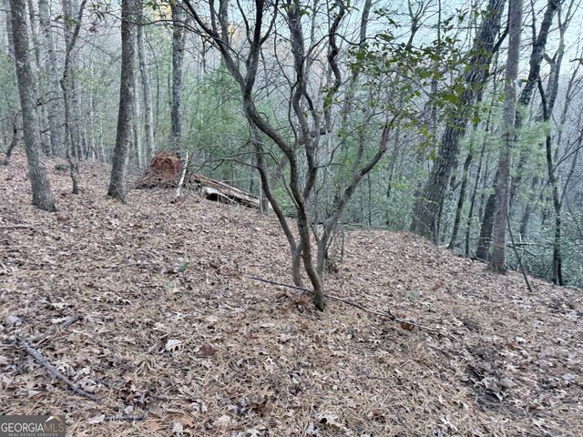 0 Timber Bluff Dr, Clayton, GA 30525