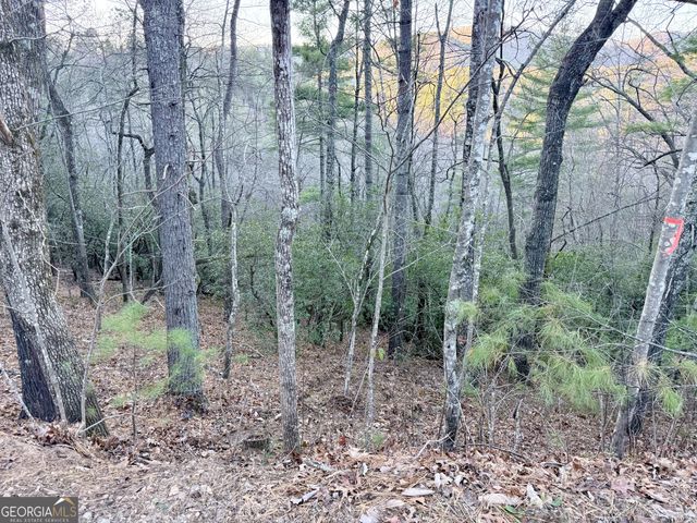 0 Timber Bluff Dr, Clayton, GA 30525