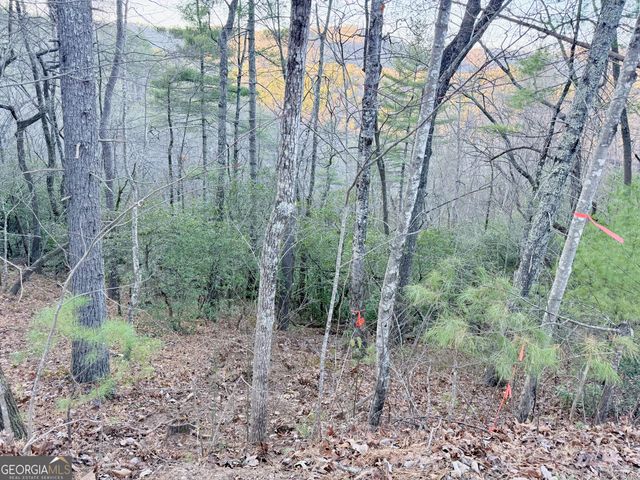 0 Timber Bluff Dr, Clayton, GA 30525