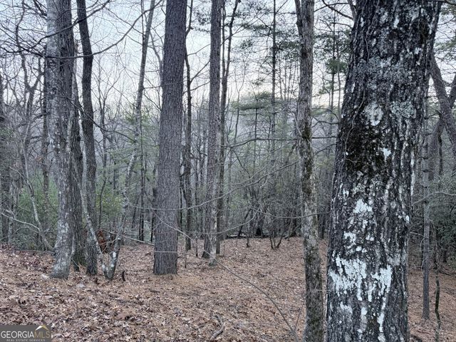 0 Timber Bluff Dr, Clayton, GA 30525