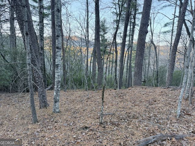 0 Timber Bluff Dr, Clayton, GA 30525