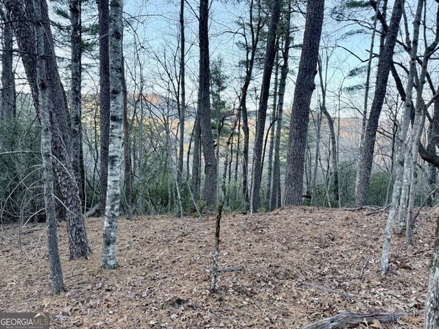 0 Timber Bluff Dr, Clayton, GA 30525