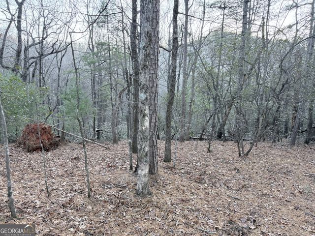 0 Timber Bluff Dr, Clayton, GA 30525