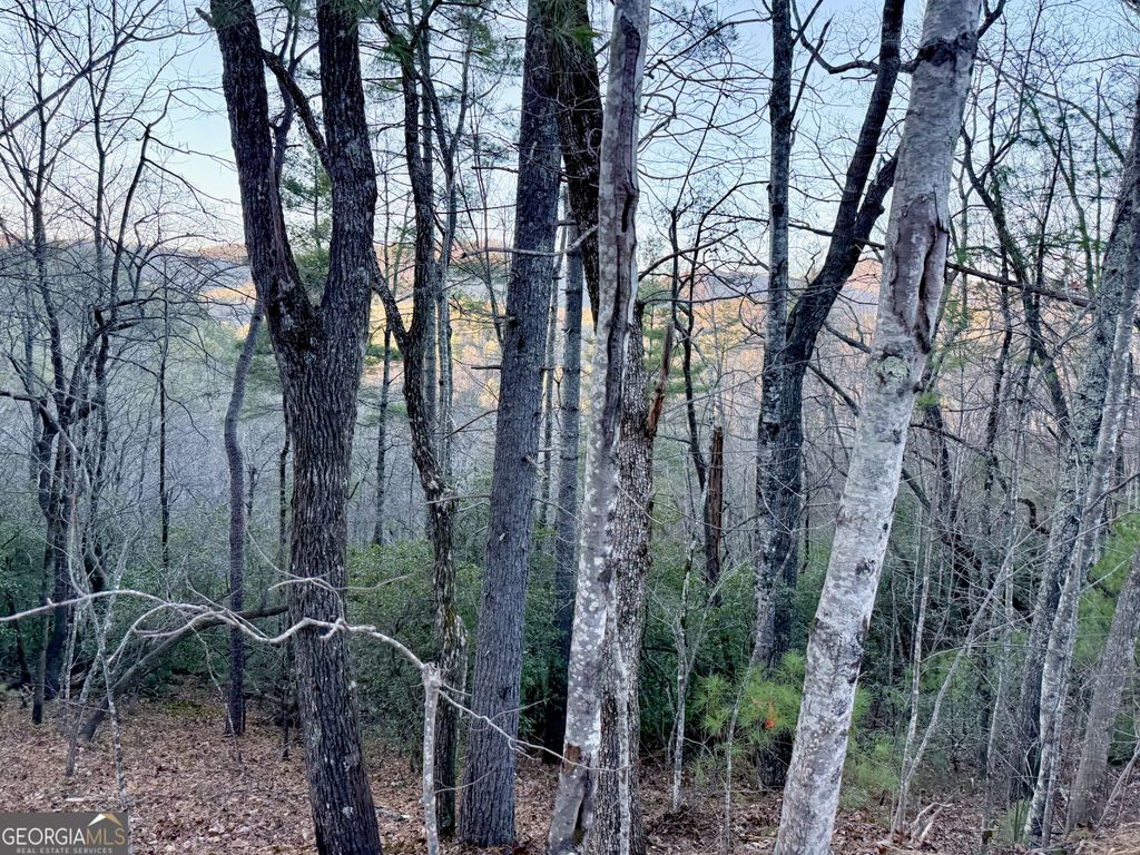 0 Timber Bluff Dr, Clayton, GA 30525