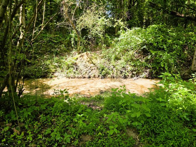 121 Turnpike Ave, Camden, TN 38320