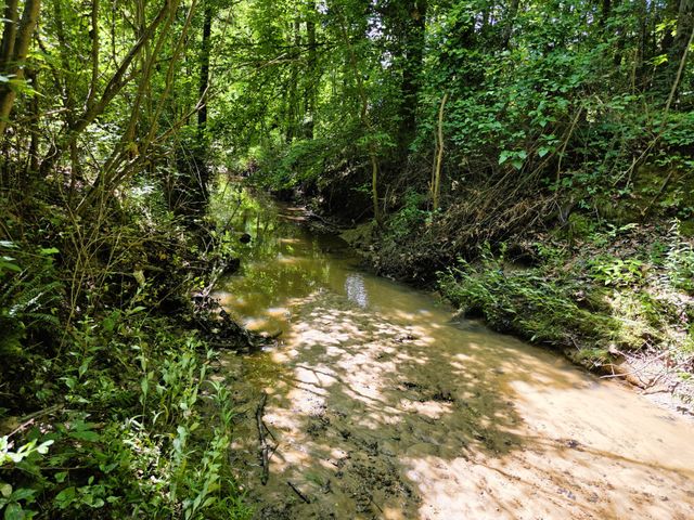 121 Turnpike Ave, Camden, TN 38320