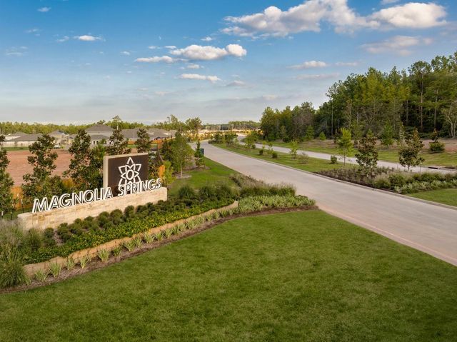 25186 Pomegranate Place, Montgomery, TX 77316
