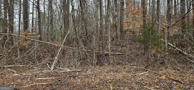 72 Dogwood Trail, Martin, GA 30557