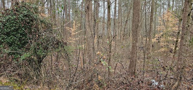 72 Dogwood Trail, Martin, GA 30557