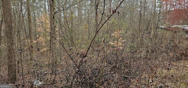 72 Dogwood Trail, Martin, GA 30557