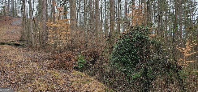 72 Dogwood Trail, Martin, GA 30557