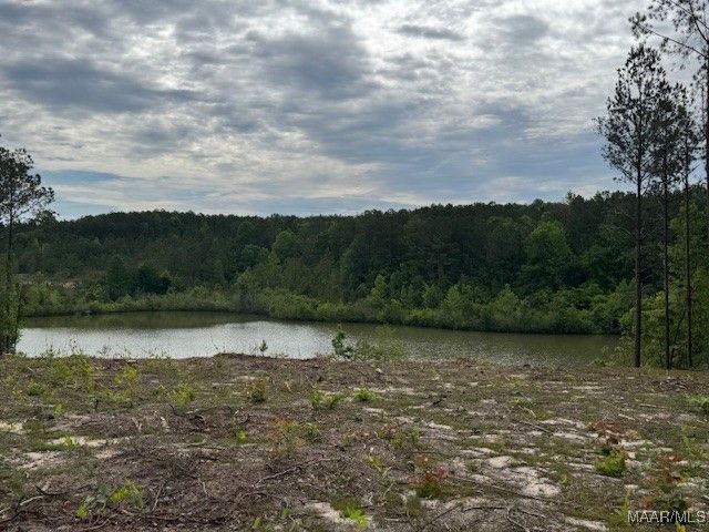 2630 Hannah Drive, Deatsville, AL 36022