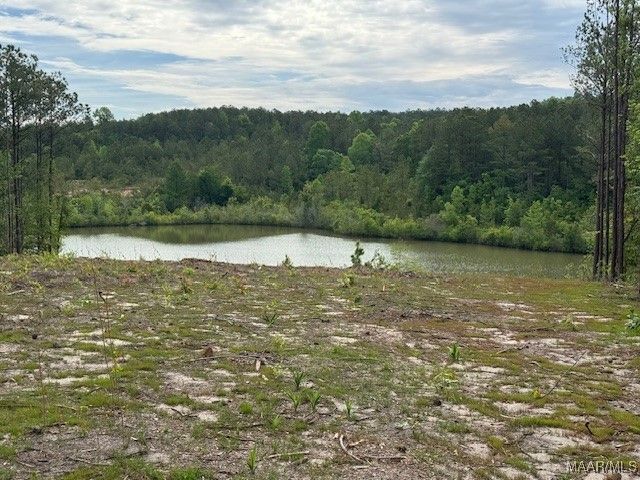 2630 Hannah Drive, Deatsville, AL 36022