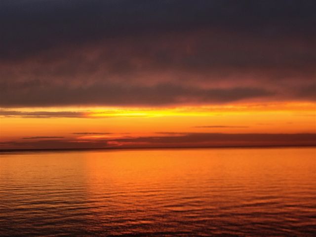 2450 Lakeshore Drive, Fennville, MI 49408