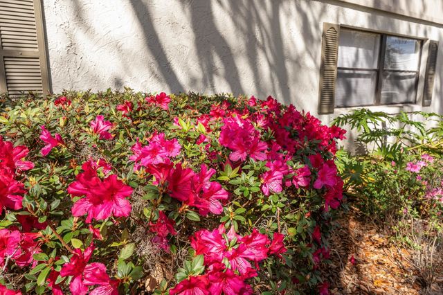 5 Andalusia Ct, St Augustine, FL 32086