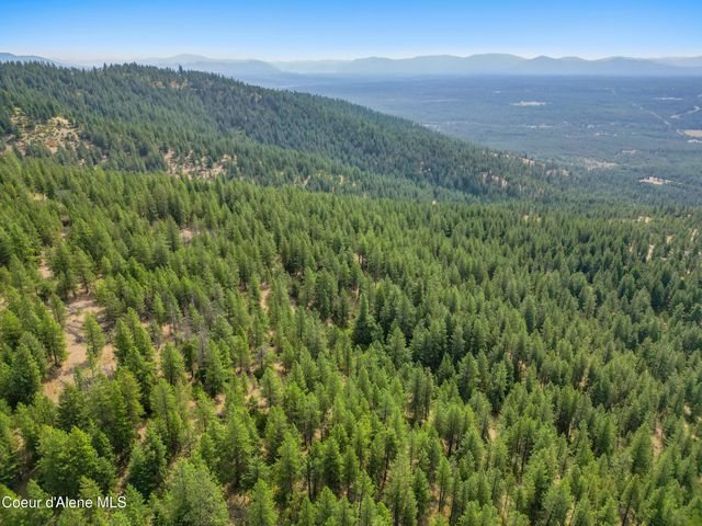 NNA USFS 2550 (40 acres), Blanchard, ID 83804