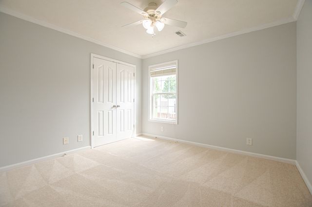 3894 Stella Dr, Clarksville, TN 37040