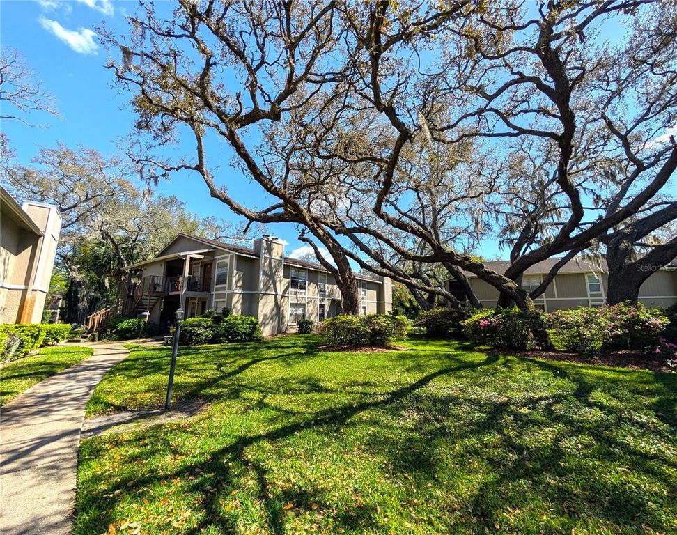 14211 SHADOW MOSS LANE 202, Tampa, FL 33613