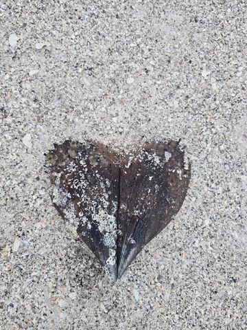 403 63RD STREET, Holmes Beach, FL 34217