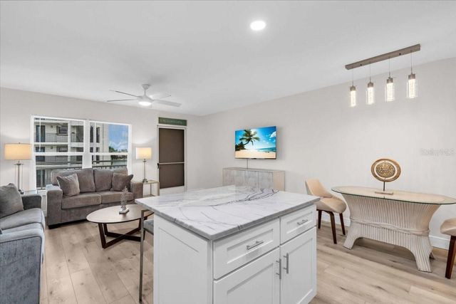 9755 HARRELL AVENUE 205, Treasure Island, FL 33706