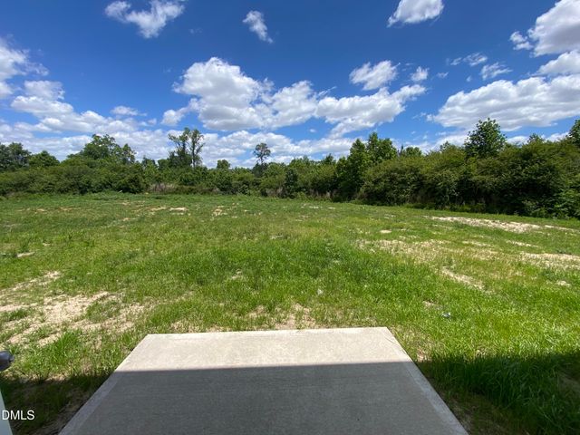206 Streamlet Drive, Fremont, NC 27830