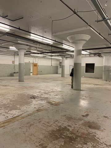 91 Pinevale Street, Springfield, MA 01151