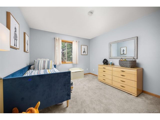 805 Lodge Pole Dr, Black Hawk, CO 80422