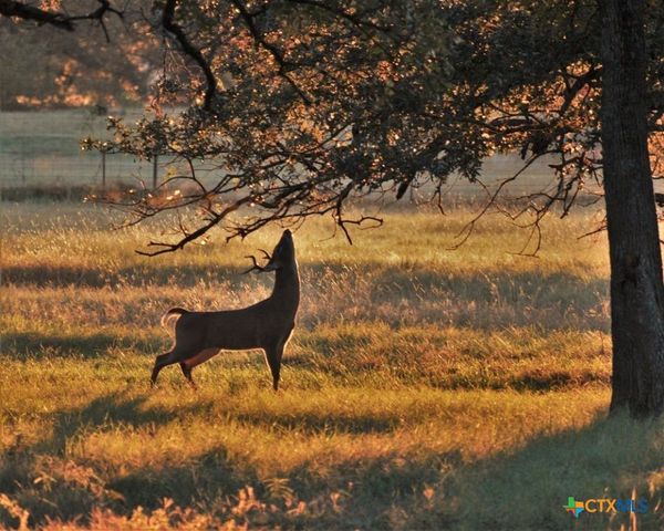 21344 Fm 2268, Holland, TX 76534