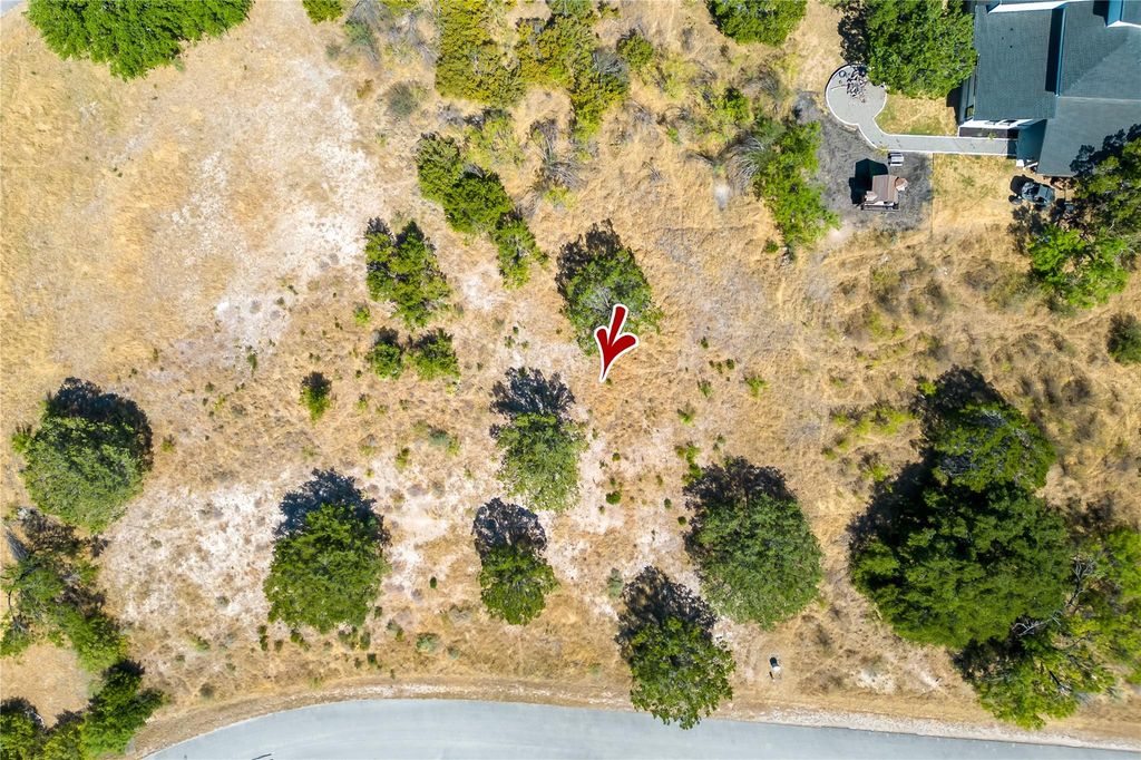 800 Wesley Ridge DR, Spicewood, TX 78669