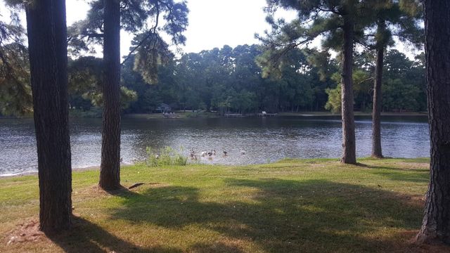702 Saint Lawrence River Road, Conroe, TX 77316