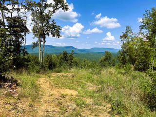 31.54 Acre Chestnut Mountain Road, Reliance, TN 37369