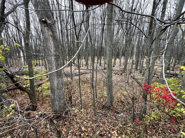 563 Lot 48 Allen Road, Milan, MI 48160