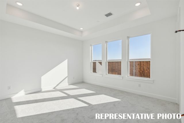 1836 Vetiver Glow Drive, Celina, TX 75009