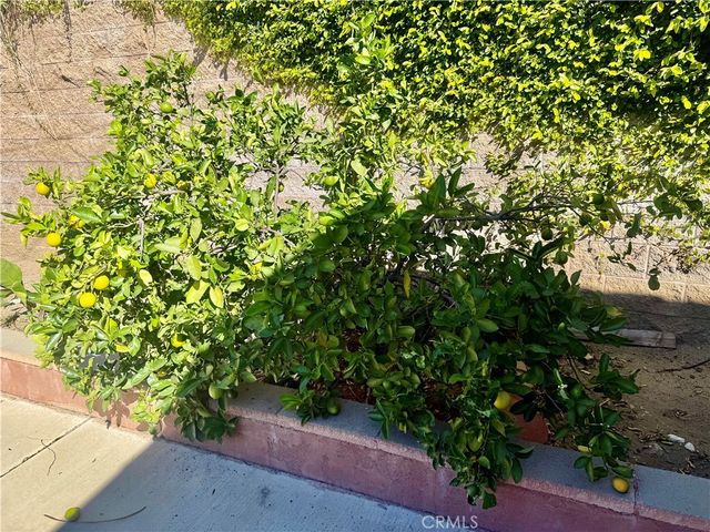 5982 Harrison, Chino, CA 91710