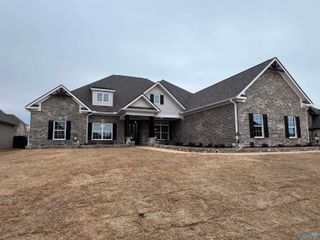 132 Josie Loop Trail, Toney, AL 35773