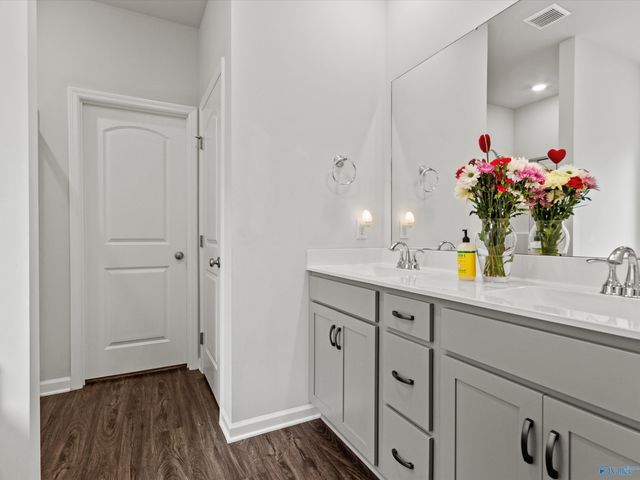 228 Paladin Street, New Market, AL 35761