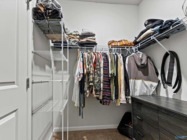 228 Paladin Street, New Market, AL 35761