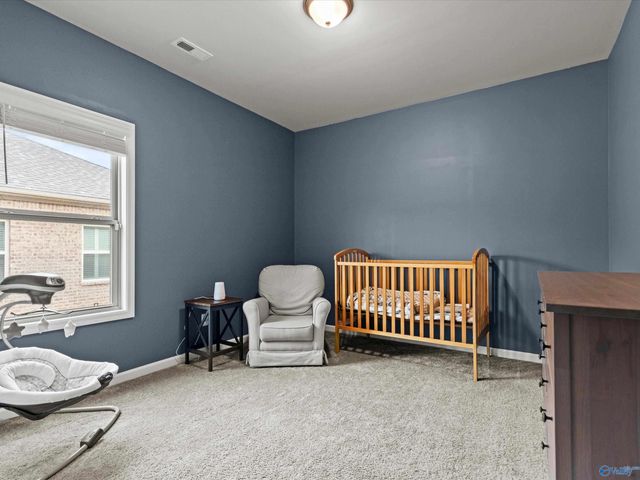 228 Paladin Street, New Market, AL 35761