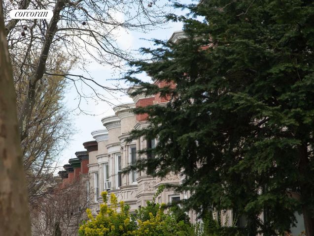 393 ROGERS Avenue, New York City, NY 11225
