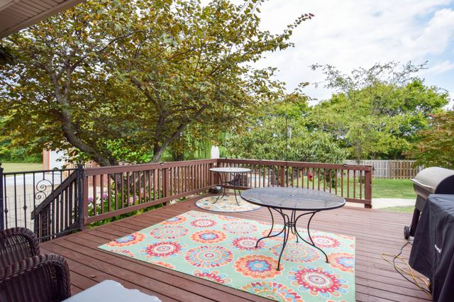 1003 Roland Ct, Cottontown, TN 37048