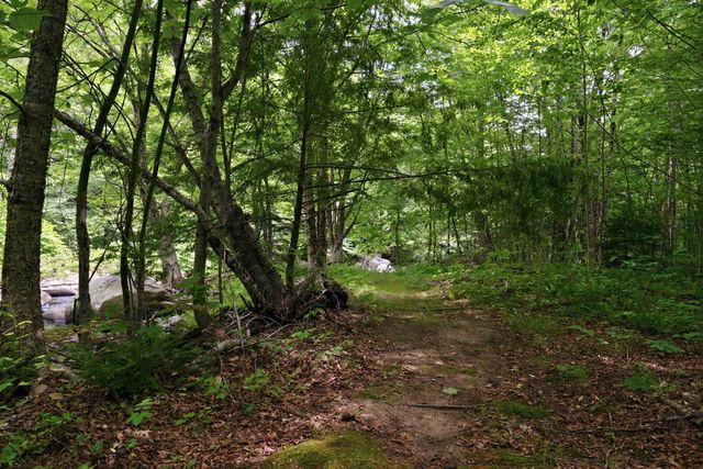 306 Stinson Lake Road, Rumney, NH 03266