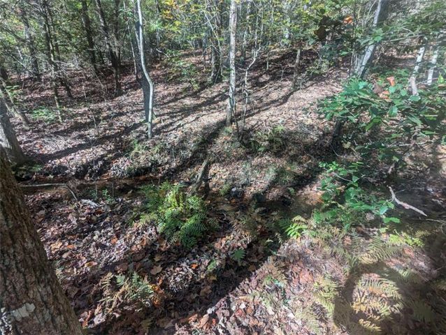 26.89 Shadow Lane, Blue Ridge, GA 30513